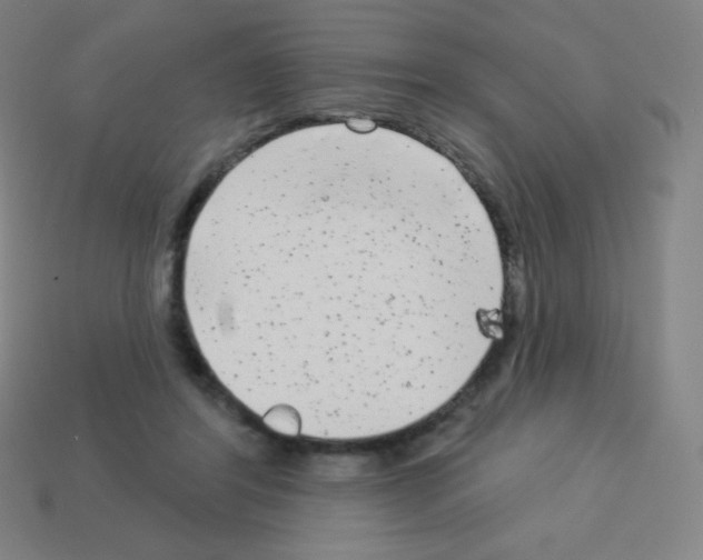 X0000113100404200910091143