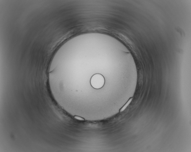 X0000113100405200910091143