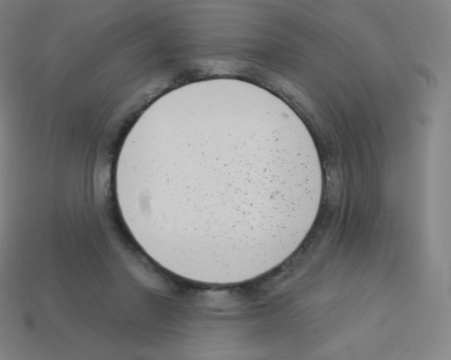 X0000113100406200910091143