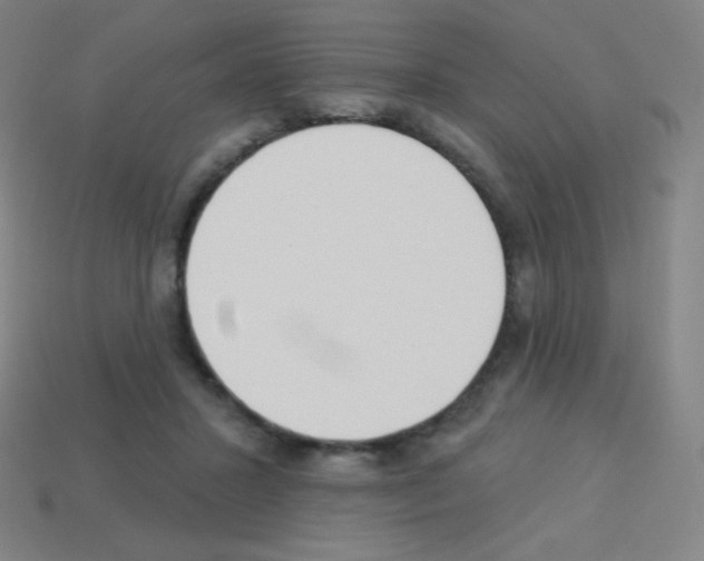 X0000113100407200910091143