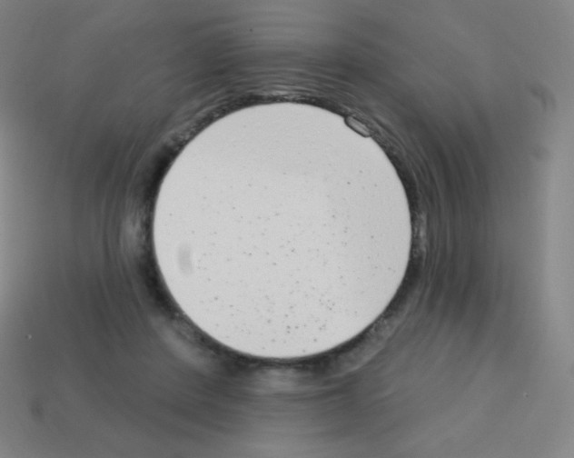 X0000113100408200910091143