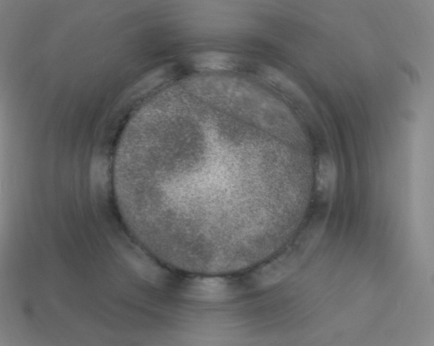 X0000113100409200910091143