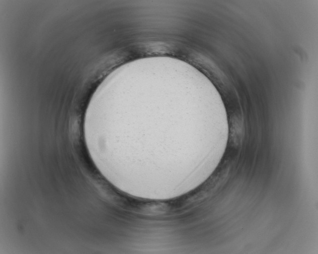 X0000113100410200910091143