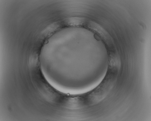 X0000113100411200910091143