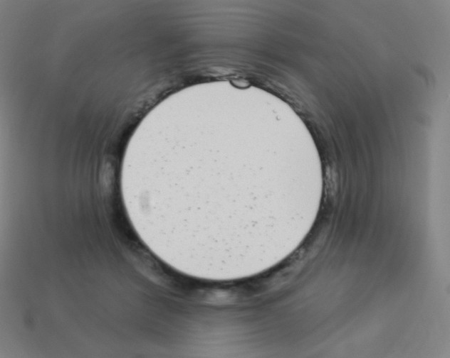 X0000113100412200910091143