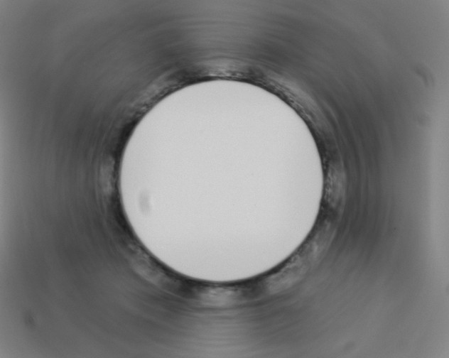 X0000113100413200910091143