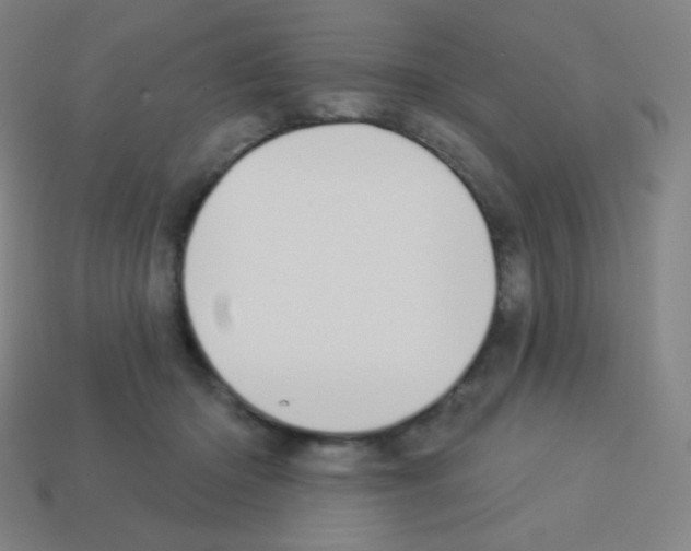 X0000113100414200910091143