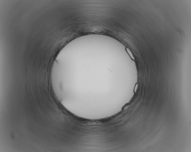 X0000113100415200910091143