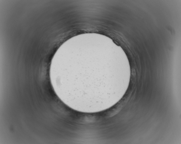 X0000113100416200910091143