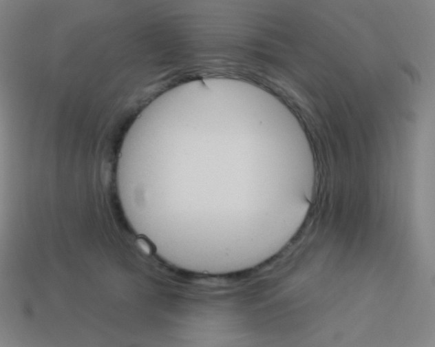 X0000113100417200910091143