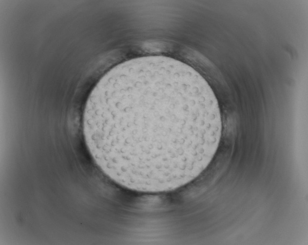 X0000113100418200910091143