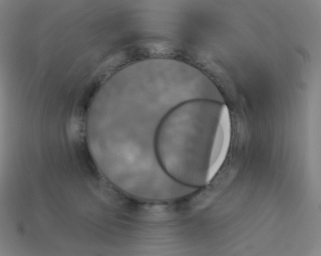 X0000113100419200910091143