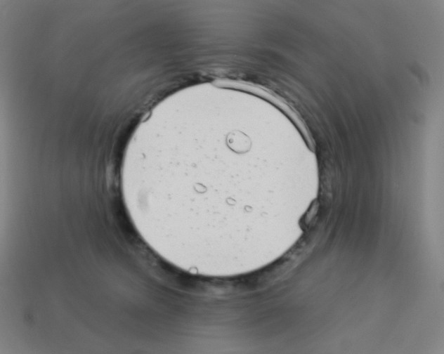 X0000113100420200910091143