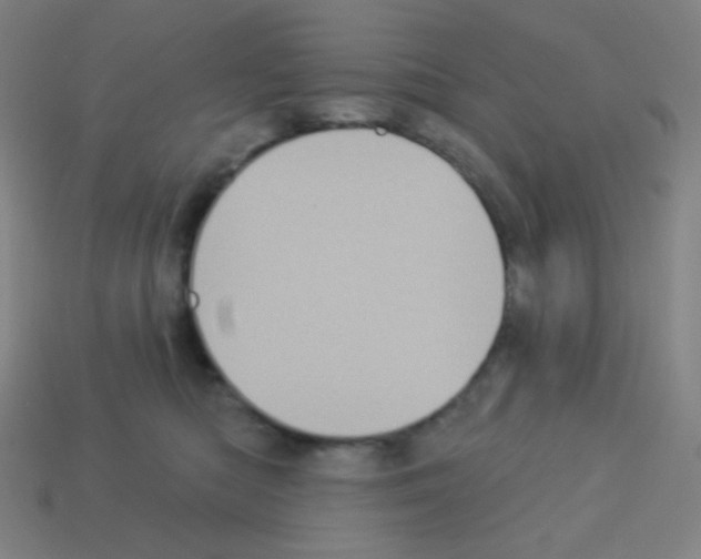 X0000113100422200910091143