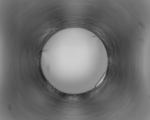 X0000113100423200910091143