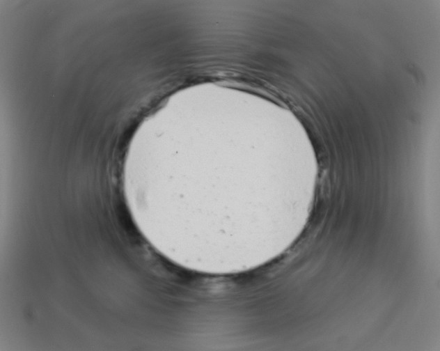 X0000113100424200910091143
