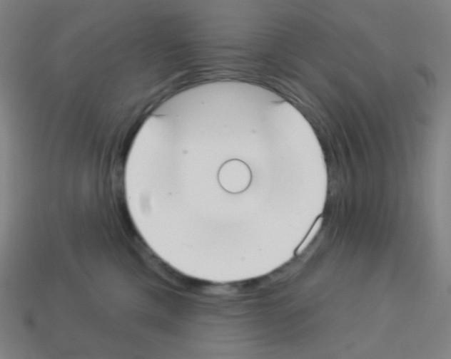X0000113100425200910091143