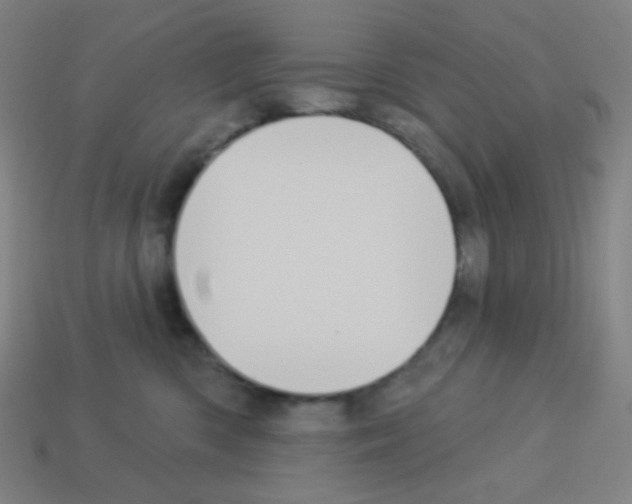 X0000113100426200910091143
