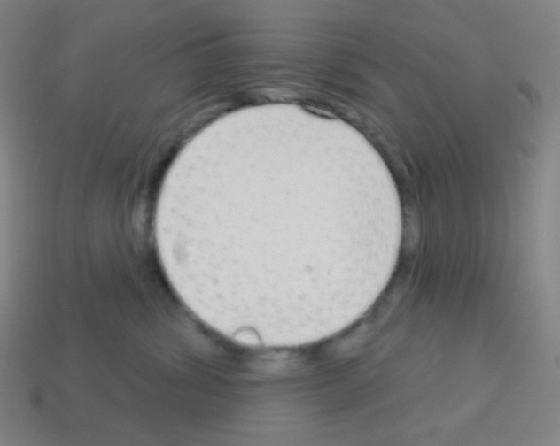 X0000113100428200910091143