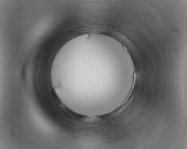 X0000113100429200910091143