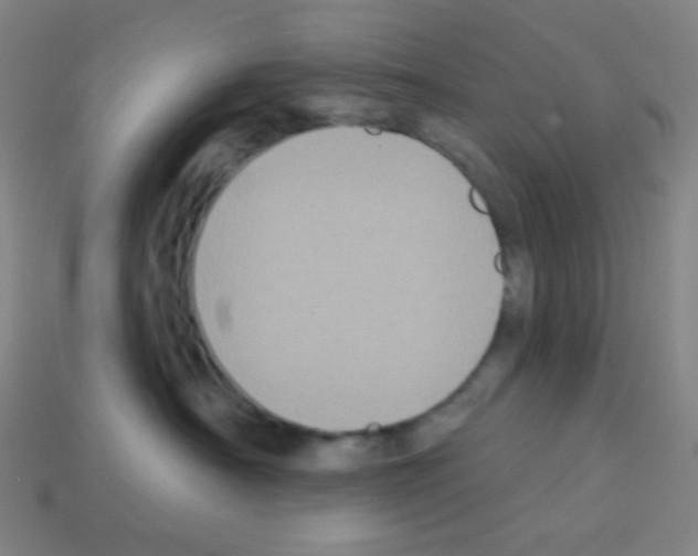 X0000113100430200910091143