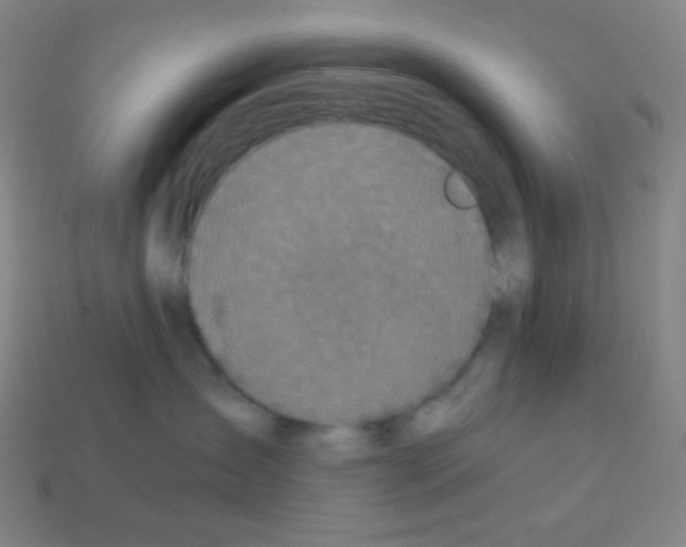 X0000113100431200910091143