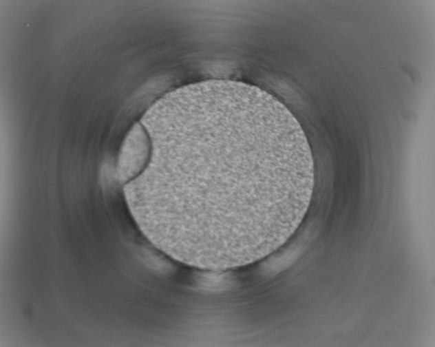 X0000113100432200910091143