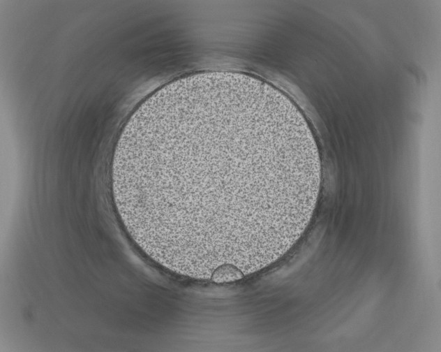 X0000113100433200910091142