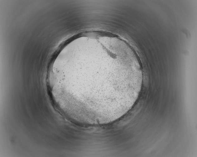 X0000113100434200910091142