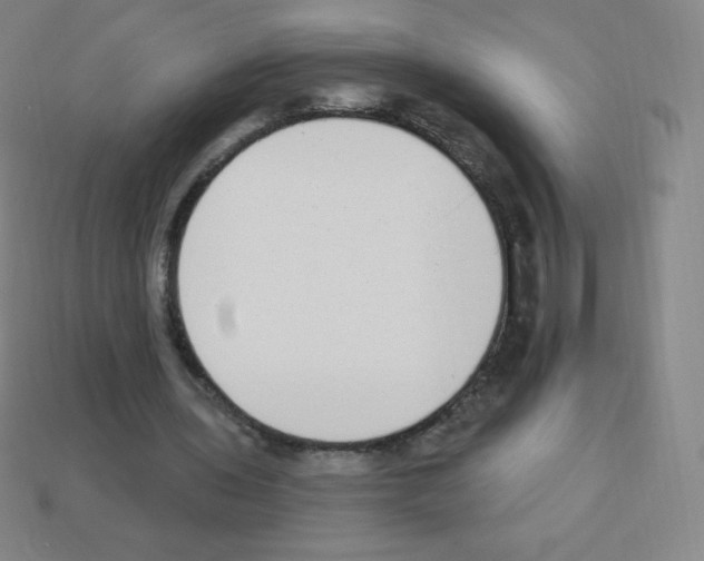 X0000113100435200910091142