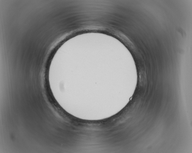 X0000113100436200910091142