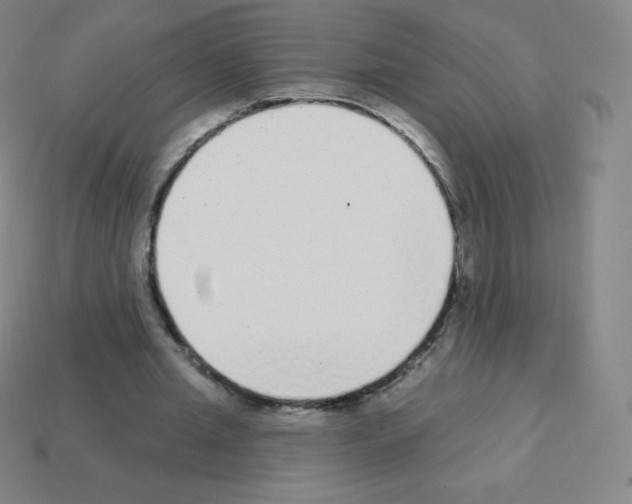 X0000113100437200910091142