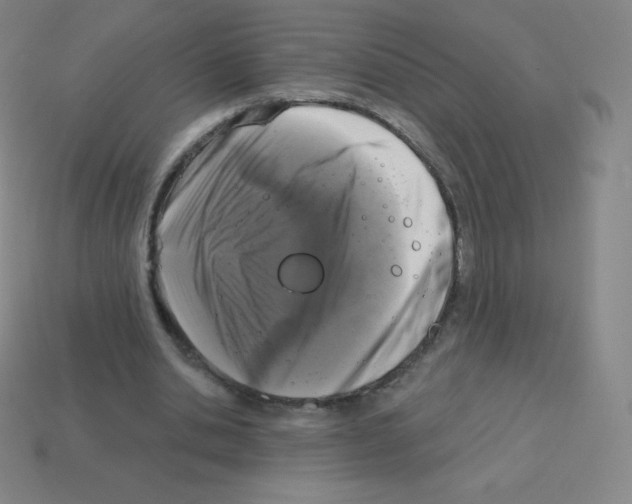 X0000113100438200910091142