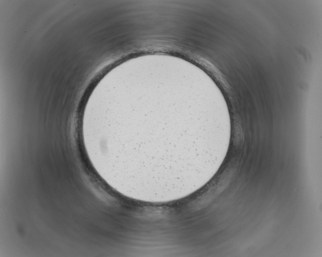 X0000113100439200910091142