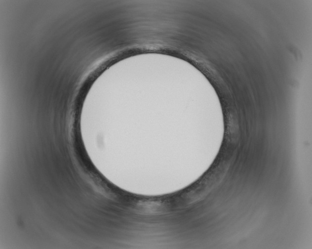X0000113100440200910091142