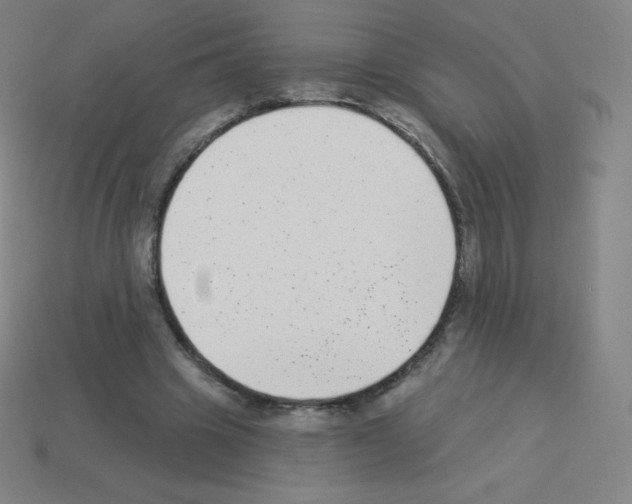 X0000113100441200910091142