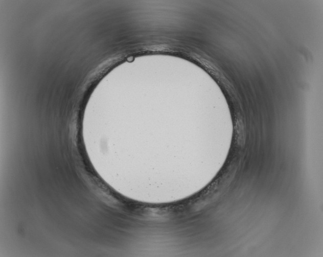 X0000113100442200910091142