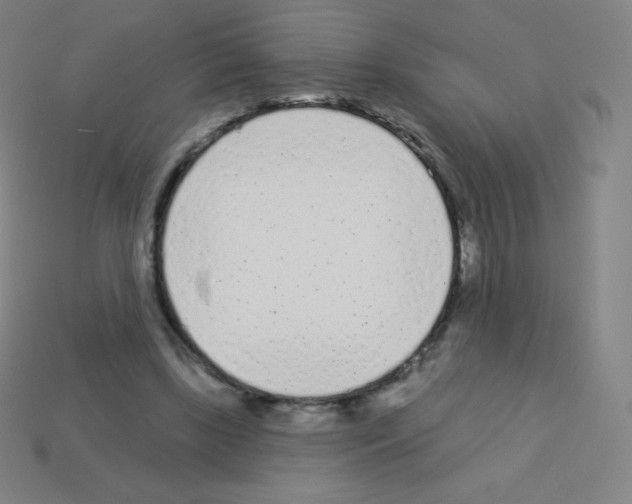 X0000113100443200910091142