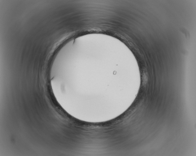X0000113100444200910091142