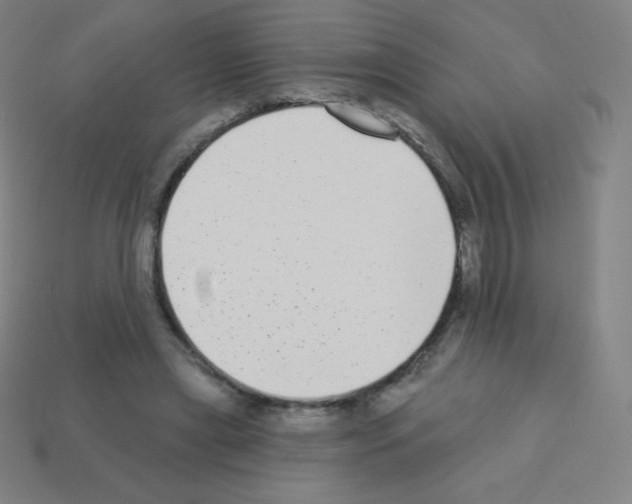 X0000113100445200910091142