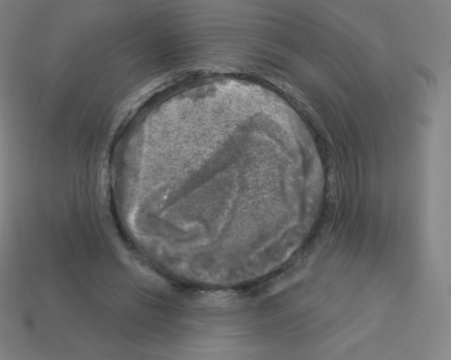 X0000113100446200910091142