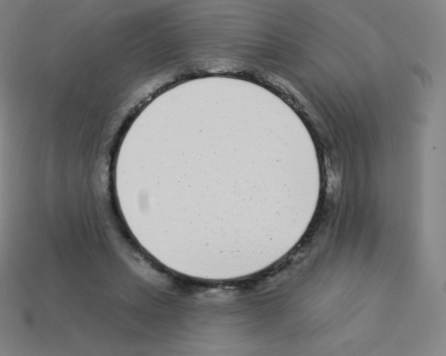 X0000113100447200910091142