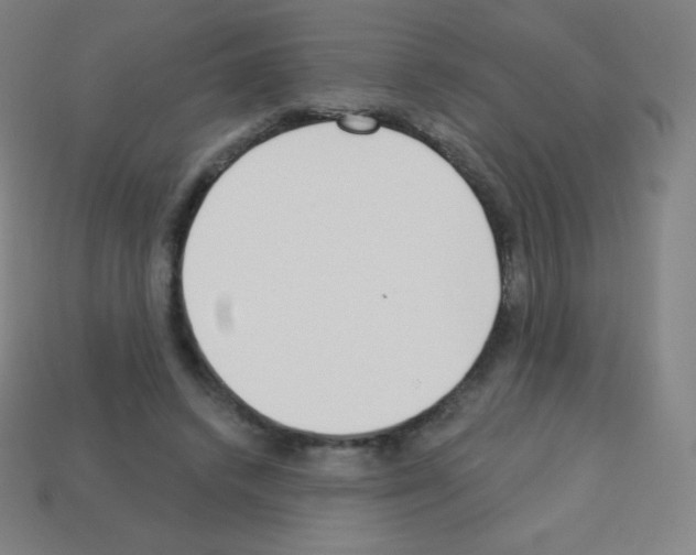 X0000113100448200910091142