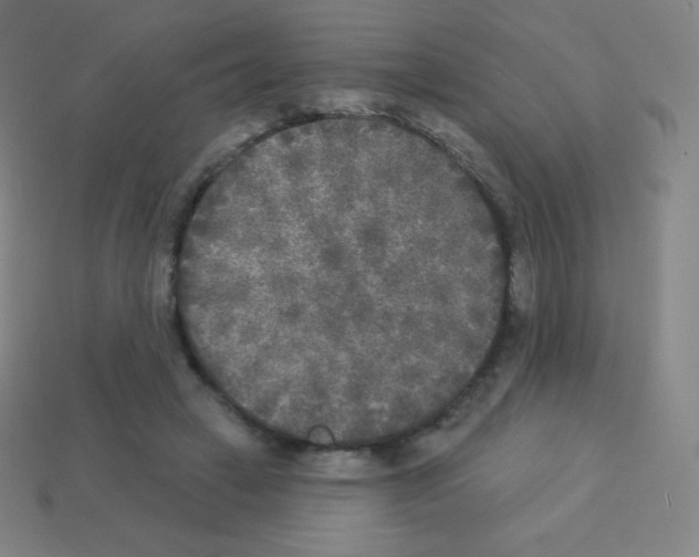 X0000113100449200910091142