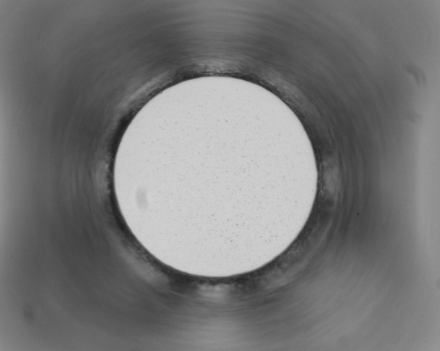 X0000113100450200910091142