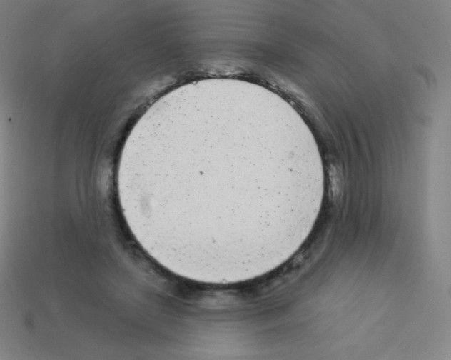 X0000113100451200910091143