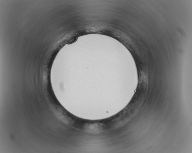 X0000113100452200910091143