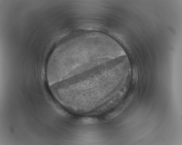 X0000113100453200910091143