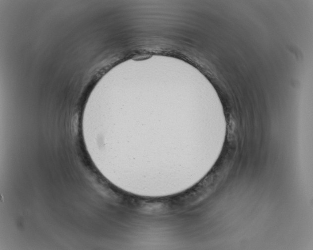 X0000113100454200910091143