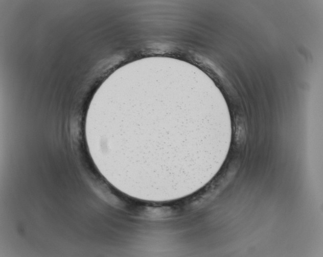 X0000113100455200910091143